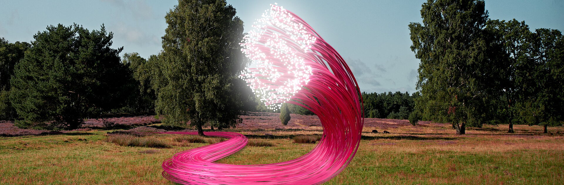 Mehrere pinke Kabel laufen über eine Wiese und bilden an deren Enden das Logo der Heidjers Stadtwerke