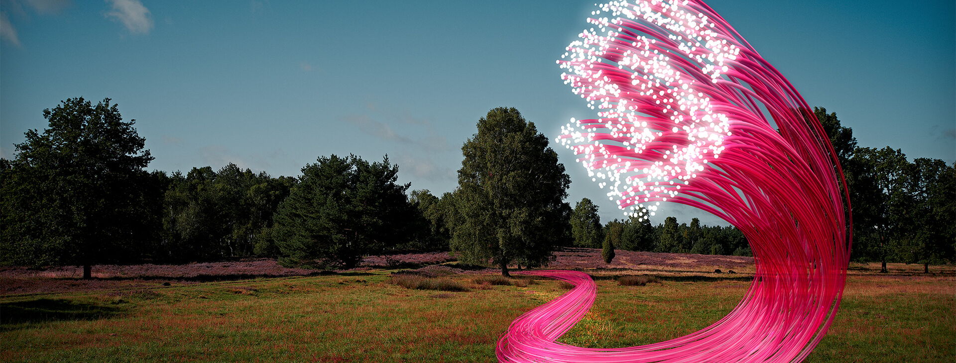 Mehrere pinke Kabel laufen über eine Wiese und bilden an deren Enden das Logo der Heidjers Stadtwerke