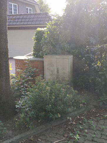 Ein Kabelverteiler-Schrank der zischen Büschen neben einem Haus steht