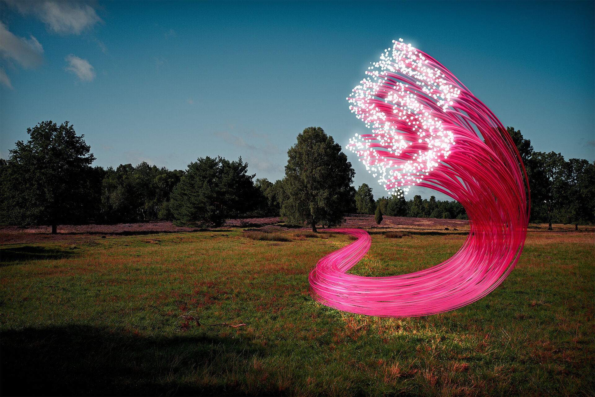 Mehrere pinke Kabel laufen über eine Wiese und bilden an deren Enden das Logo der Heidjers Stadtwerke